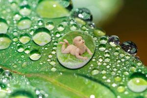 monsoon-baby-care-tips-wonderparenting